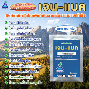 เจน-แบค บาซิลลัส ซับทิลิส 100กรัม สายพันธุ์ BM-01 เชื้อบีเอส Bacillus subtilis ราน้ำค้าง ราแป้ง ใบจุด