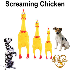 Đồ chơi Gà cho thú cưng cắn  Đồ chơi cắn ngặm cho Chó mèo