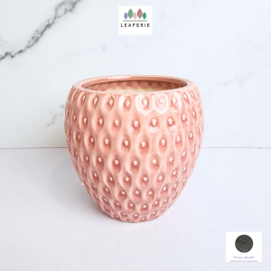 The Leaferie Blair plant pots Ceramic flowerpot . flowerpots . flower pot . planter . planters