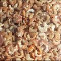 Udang kering ebi kualitas super 100gr. 