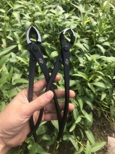 Kìm Cạp Thép Nguyên Khối Cao Cấp Công Nghệ Nhật Bản Chuyên Dùng Cắt Sẹo Tạo Sẹo Dụng Cụ Bonsai Chuyên Nghiệp