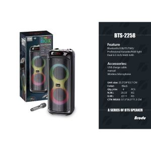 Bts. Shop BTS-2241 12-inch karaoke audio system equipped with dual wireless microphones and outdoor Bluetooth speaker