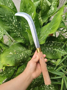 Liềm rửa dừa - ngoặc vệ sinh dừa - dao phát cảnh - phát bụi - dọn vườn thép nhíp cán dài