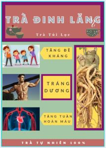 Trà Đinh Lăng TRÁNG DƯƠNG Tăng Đề kháng Tăng Tuần Hoàn Máu - 40 Túi Lọc Trà Đông Y Việt