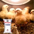 B-MEG INTEGRA 1000 - (1KG) B-MEG Integra 1000 Free Range Chicken Chick ...