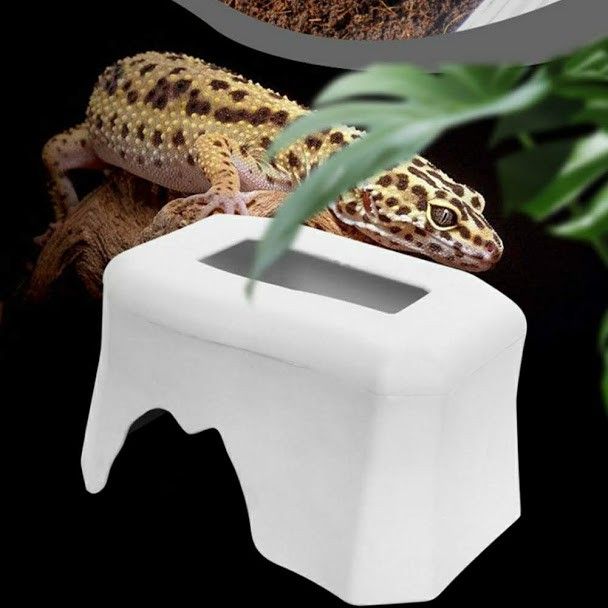 Hang%20tr%C3%BA%20%E1%BA%A9n%20cho%20b%C3%B2%20s%C3%A1t%20nh%E1%BB%87n%20b%E1%BB%8D%20c%E1%BA%A1p%20r%E1%BA%BFt%20c%C3%B3%20khay%20%C4%91%E1%BB%B1ng%20n%C6%B0%E1%BB%9Bc%20v%C3%A0%20gi%E1%BB%AF%20%E1%BA%A9m%20-%20Image%204