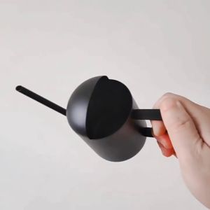 FunsLane Plant Watering Can 300ML Stainless Steel House Plants Sprinkling Kettle Long Thin Spout Effortless Watering Can