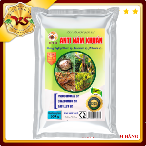 ANTI NẤM KHUẨN phòng trừ và ngăn ngừa bệnh thối rễ vàng lá héo rủ héo tươi.... gói 500g