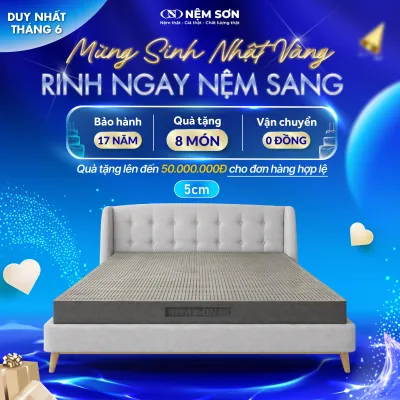 [Mua 1 Tặng 8] - Nệm cao su thiên nhiên nguyên khối than hoạt tính – Nệm Sơn – Loại 5cm – Đầy đủ kích thước - Bảo hành 17 năm