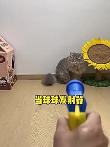 Cat interactive toy silent polyester high-elasticity ball launcher cat teaser wand wholesale fromtoy manufacturer