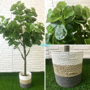 Pohon Artificial Tanaman Hias Daun Mangkokan X4 T140 Semilatex Cover Anyaman Seagrass Dekorasi Ruang Tamu