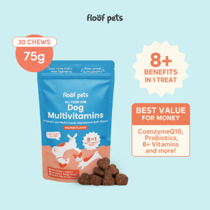Floof Pets 8in1 Dog Multivitamins 75g 30 chews Dog probiotics Dog Vitamins for Immune System Multibenefit Dog Health Supplements Appetite Booster for Dogs and more: Dog Food for Enhanced Dog Care & Immunity Support Coatshine Antioxidants