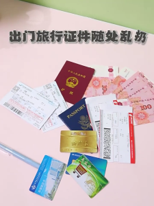 Dompet Travel ร่วมสมัยพร้อมผ้าป้องกันการฉีกขาดและเคสพื้นที่จัดเก็บขนาดเล็กสำหรับพาสปอร์ตบอร์ดดิ้งพาส