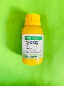 Fungisida Piraklostrobin Basf CABRIO 250EC pengendali hawar daun