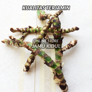 Akar Jeringau 50gr - Dlingo - Dringo Segar dan Basah Murah