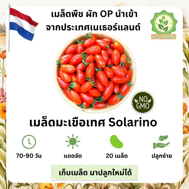 เมล็ดพันธุ์รวมผักปลอด GMO จากเนเธอร์แลนด์