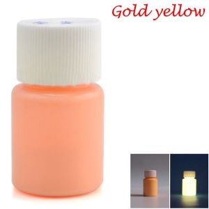 GURUNGMANI 20g Decoration Party DIY Craft Pigment Luminous Paint Acrylic Glow In The Dark