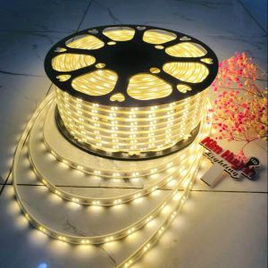 Dây đèn led đôi 2 hàng xéo bọc nhựa chống thấm trang trí quấn cây hắt trần đã kèm nguồn cắm không nháy