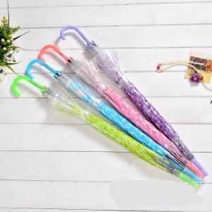 Dù Cầm Tay Hình Hoa Anh Đào Trong Suốt