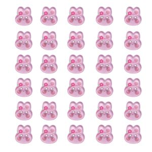 FUTUI 30pcs DIY Bunny Buttons Transparent Acrylic Clothing Sewing Buttons Handmade Accessories Flower Bow Cute Rabbit Button Clothing Decoration