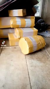 PAKET 3JENIS BIBIT RUMPUT 1KGPAKCHONGODOTSATARIA