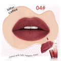 Ashley Shine Soft  Fog Lip Mud Long-lasting Waterproof Sweat 5 Colors Non-sticky Liquid Lipstick Lip Gloss AS2136. 