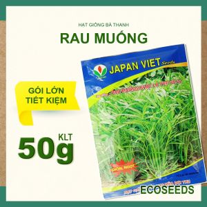 GÓI TO [EcoSeeds] Hạt Giống Rau Muống Nhật Lá Tre Japan Viet - Chịu Úng Phát Triển Tốt - 50g