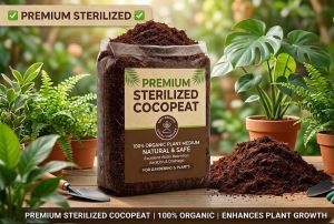 Premium 5KG Cocopeat Block Organic Coco Peat Soil Medium for Hydroponics Gardening Plants