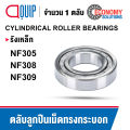 NF305 NF308 NF309 ตลับลูกปืนเม็ดทรงกระบอก รังเหล็ก ( Cylindrical Roller Bearings ). 