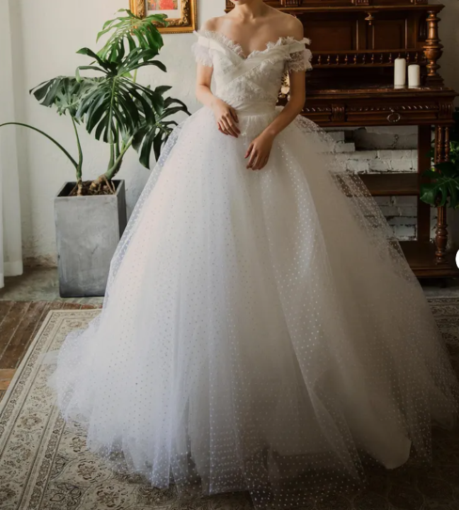 Drop V waist wedding dress off shoulder spot tulle vintage