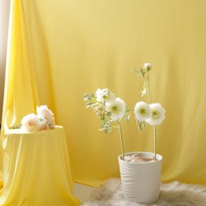 KAIN BACKDROP KUNING TERANG KAIN BACKGROUND KAIN DEKORASI KAIN POLOS KAIN FOTO BACKDROP FOTO YELLOW