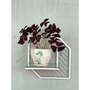 Kệ decor Chân kệ kệ chậu cây kệ trang trí vách Khung treo chậu hoa kiểu độc đáo sang trọng