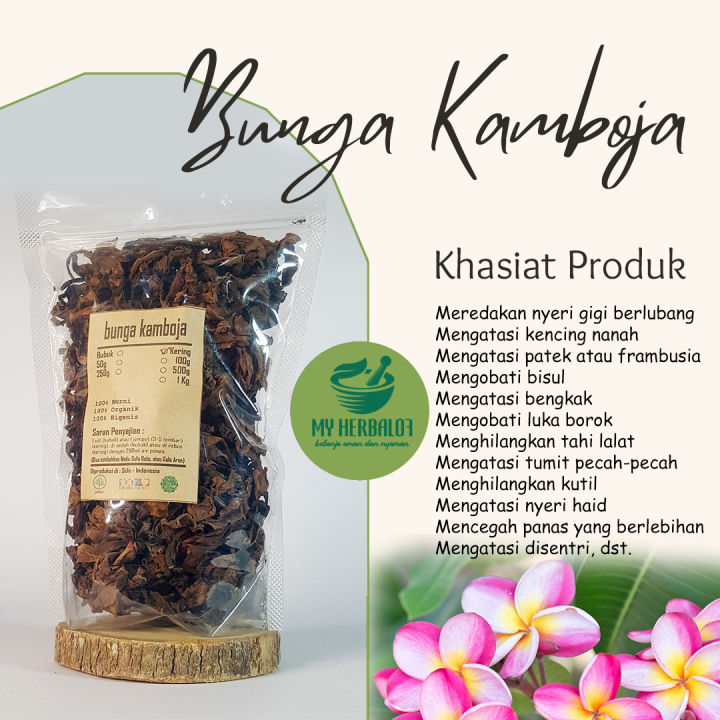 Bunga Kamboja Kering / Plumeria