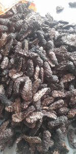 1kg Quả nhàu khô thơm mới quả to già đanh sấy khô sạch sẽ. dùng nấu nước uống hoặc ngâm tửu cực tốt cho sức khỏe