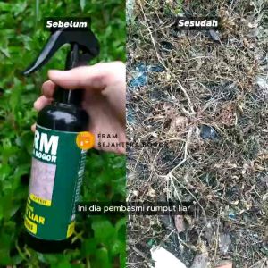 PEMBASMI RUMPUT LIAR PALING AMPUH. 5 LITER ( siap pakai tidak perlu tambah air )