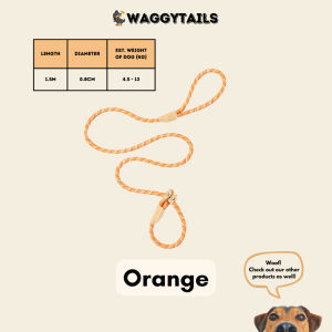[SG] Dog Slip Leash No Pull 1.5m Training Leash for Walking Small Medium Large Dogs Loose Leash Lead