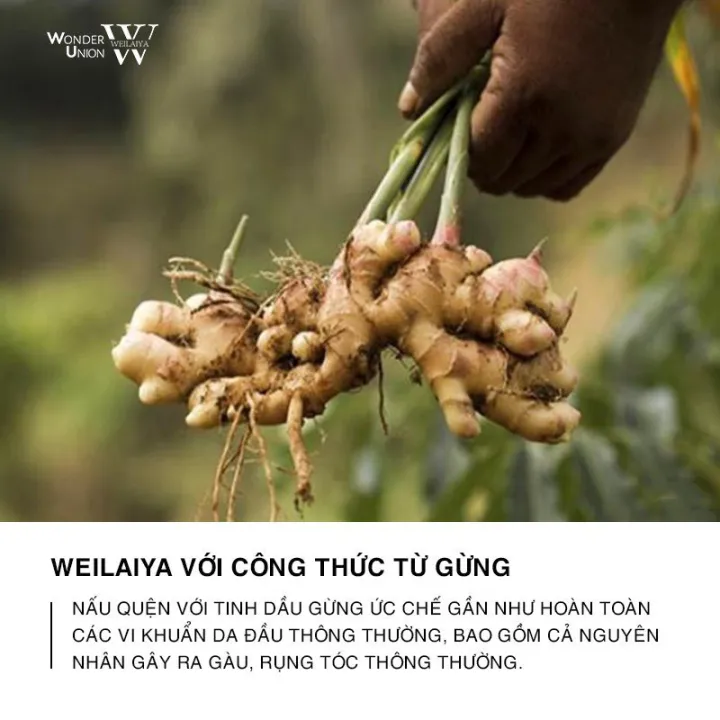 Set%20mini%20G%E1%BB%99i-X%E1%BA%A3%20Weilaiya%20Ch%C3%ADnh%20H%C3%A3ng%20Tinh%20Ch%E1%BA%A5t%20G%E1%BB%ABng%20H%C3%A0%20Th%E1%BB%A7%20%C3%94%20(Nh%C3%A3n%20N%C3%A2u)%2020ml%20H%E1%BB%97%20Tr%E1%BB%A3%20M%E1%BB%8Dc%20T%C3%B3c%20Ng%C4%83n%20R%E1%BB%A5ng%20T%C3%B3c%20-%20Cho%20Da%20%C4%90%E1%BA%A7u%20Kh%C3%B4-Kavia%20Store%20-%20Image%206