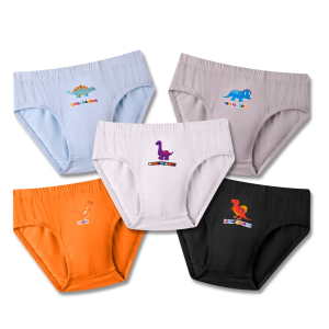 Simply Life - Bamboo - Boys Briefs - Dinosaurs (5-Pack Set) Baby Clothing