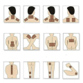 [Buy 1 Take 1] Herbal Ginger Patch Pain Relief Original Salonpas Patches. 