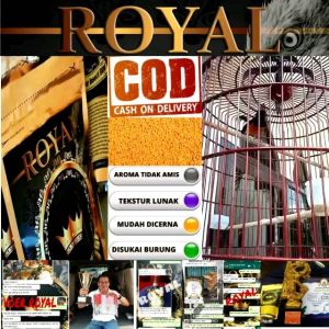 Voer Burung Murai Royal Premium