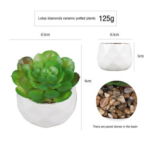 Simulation succulent diamond ceramic potted plant combination Nordic style office ornaments fake plant bonsai