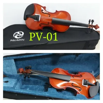 BIOLA ALAT MUSIK GESEK VIOLIN 4/4 PALADIN
