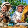Bee Smoker Pellets - 108 PCS, Beekeeping Tools,Natural Smoker Pellets, Bee Hive Smoker Pellets, Beekeeping Supplies, Soft Smoke, Pleasant Smell, Suitable for Beekeeping(108 Packs). 