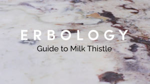 Erbology Organic Virgin Milk Thistle Oil - Liver Health Omega 6 Vit E (Human and Pets)