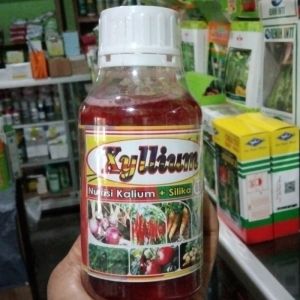Pupuk cair Xyllium 85sl nutrisi kalium +silika 500ml