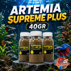 Artemia Eggs Supreme Plus 10g 20g 40g 50g | Golden West Artemia | Premium Brine Shrimp Eggs | Fish Fry Food | Natural Protein Nutrition | High Hatch Potential | Betta Guppy Breeder Feed | Aquarium Live Food