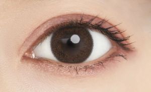 Kính Cận Màu Sugar Plum Sweetie Make 1 Ngày UV Hộp 10 Miếng - SEED Nhật