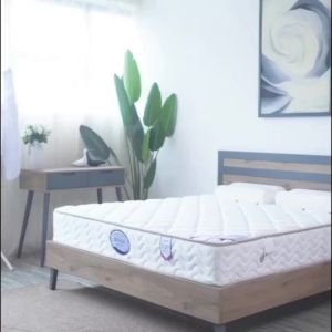 Simmons Mattress Independent Spring Mattress Household Mattress Thailand Latex Mattress Coconut Palm Hard Mattress 20cm Thick
