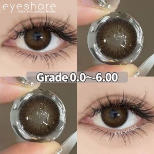 [Grade 0.00~-6.00] VIENNA Series Chocolate Contact lenses 1Pair Big Eye Gray Soft Colored Contacts