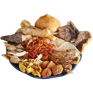 Colorful Mushroom Soup Bun Yunnan Specialty Morchella Cordyceps Flower Chicken Oil Mushroom Bamboo Mushroom Bun Mushroom Dry Mushroom Soup Ingredients